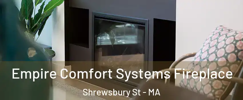 Empire Comfort Systems Fireplace Shrewsbury St - MA