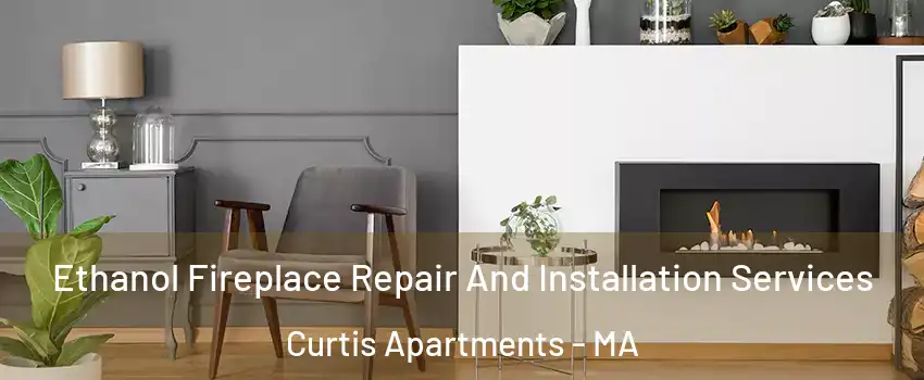 Ethanol Fireplace Repair And Installation Services Curtis Apartments - MA