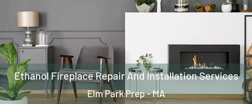 Ethanol Fireplace Repair And Installation Services Elm Park Prep - MA