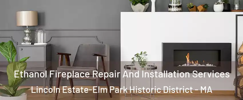 Ethanol Fireplace Repair And Installation Services Lincoln Estate-Elm Park Historic District - MA