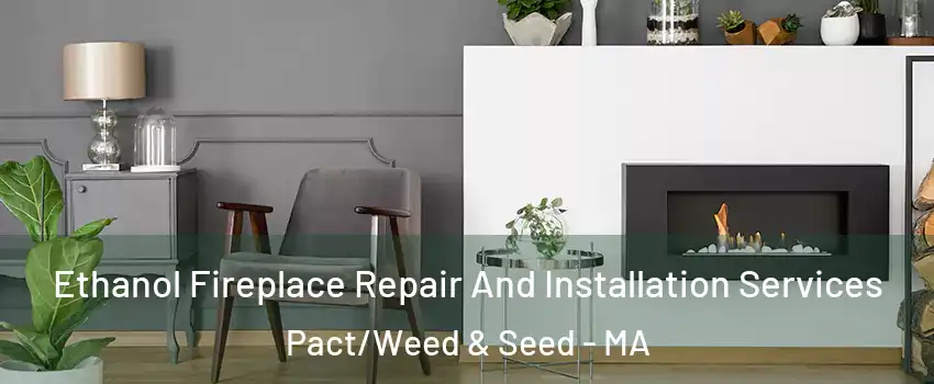 Ethanol Fireplace Repair And Installation Services Pact/Weed & Seed - MA