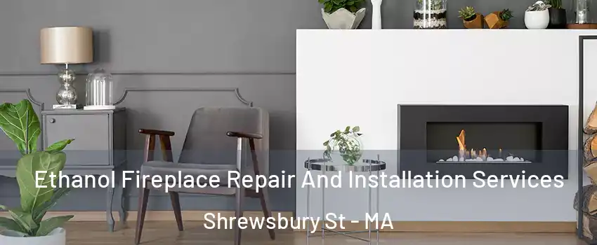 Ethanol Fireplace Repair And Installation Services Shrewsbury St - MA