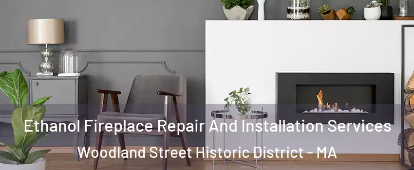 Ethanol Fireplace Repair And Installation Services Woodland Street Historic District - MA