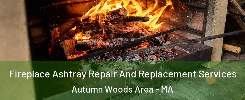 Fireplace Ashtray Repair And Replacement Services Autumn Woods Area - MA