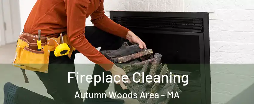 Fireplace Cleaning Autumn Woods Area - MA