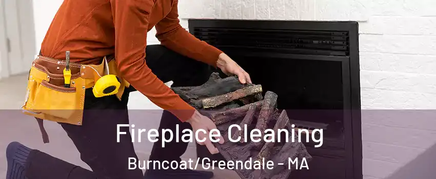 Fireplace Cleaning Burncoat/Greendale - MA