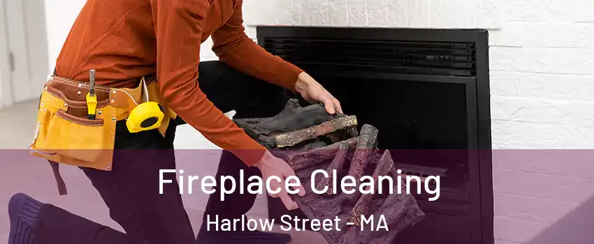 Fireplace Cleaning Harlow Street - MA