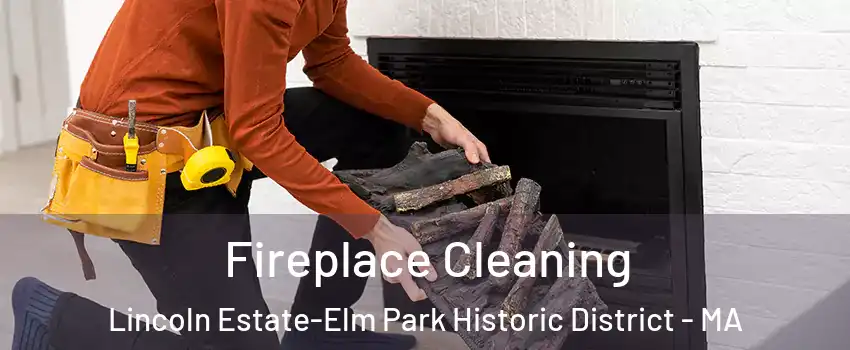 Fireplace Cleaning Lincoln Estate-Elm Park Historic District - MA