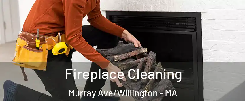 Fireplace Cleaning Murray Ave/Willington - MA