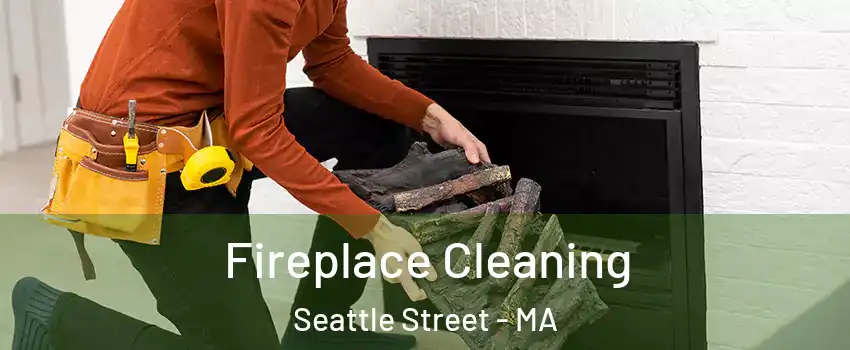 Fireplace Cleaning Seattle Street - MA