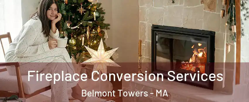 Fireplace Conversion Services Belmont Towers - MA