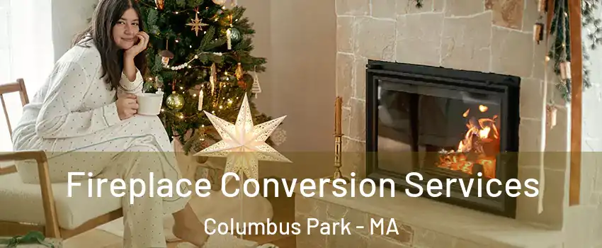 Fireplace Conversion Services Columbus Park - MA