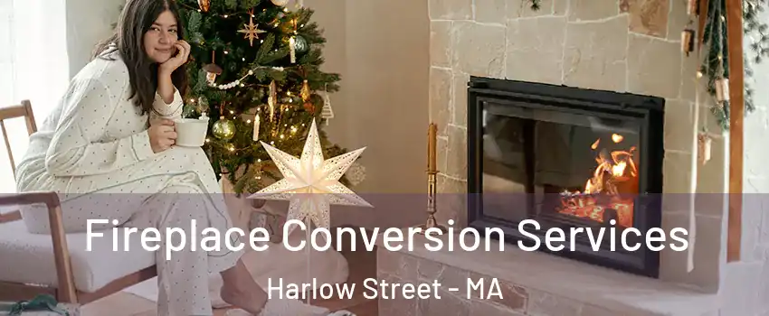 Fireplace Conversion Services Harlow Street - MA