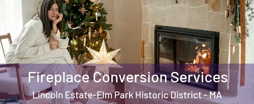 Fireplace Conversion Services Lincoln Estate-Elm Park Historic District - MA