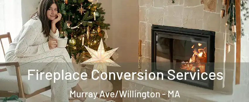 Fireplace Conversion Services Murray Ave/Willington - MA