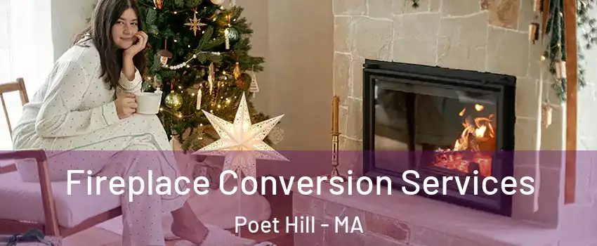 Fireplace Conversion Services Poet Hill - MA