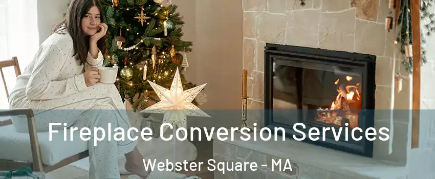 Fireplace Conversion Services Webster Square - MA