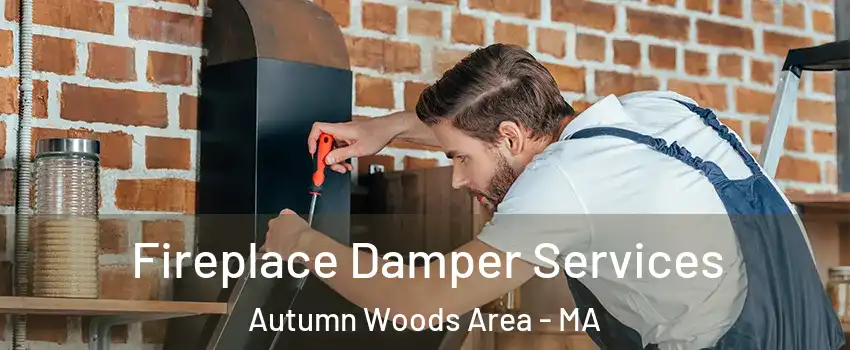 Fireplace Damper Services Autumn Woods Area - MA