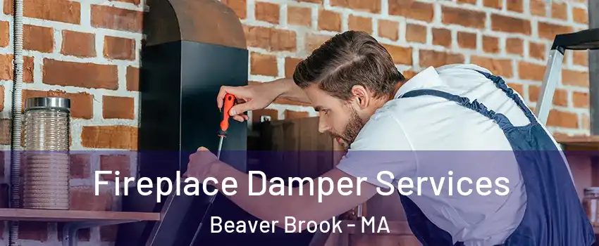 Fireplace Damper Services Beaver Brook - MA