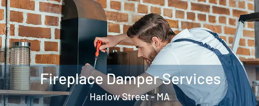 Fireplace Damper Services Harlow Street - MA