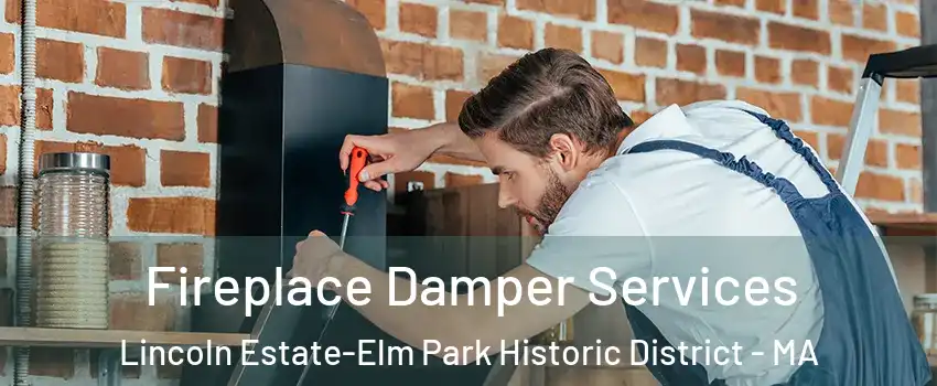 Fireplace Damper Services Lincoln Estate-Elm Park Historic District - MA