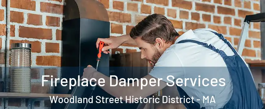 Fireplace Damper Services Woodland Street Historic District - MA