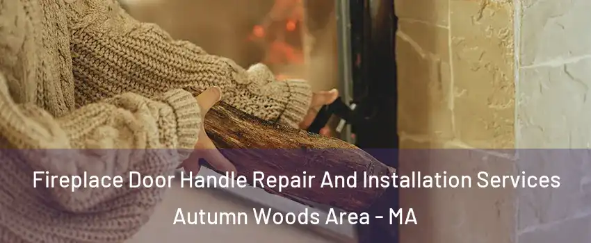 Fireplace Door Handle Repair And Installation Services Autumn Woods Area - MA