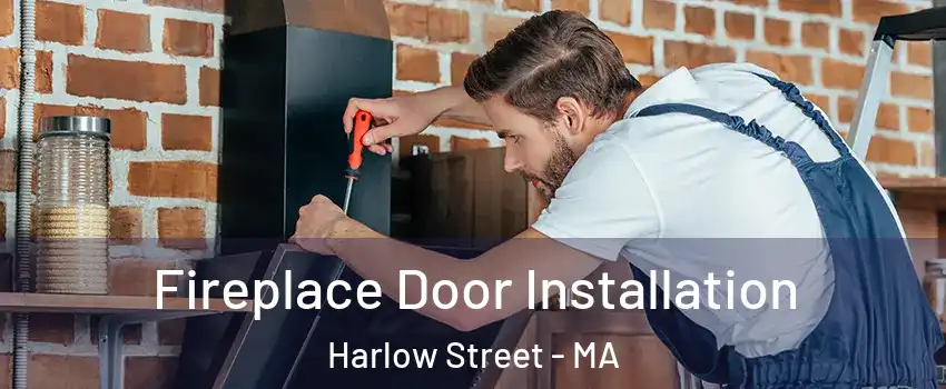 Fireplace Door Installation Harlow Street - MA