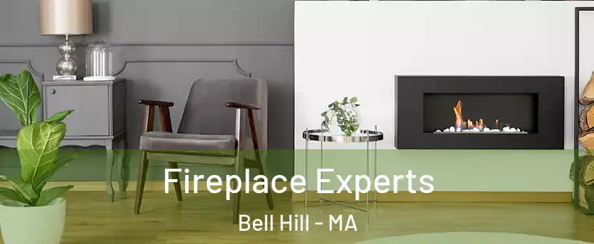 Fireplace Experts Bell Hill - MA