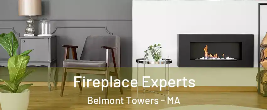 Fireplace Experts Belmont Towers - MA