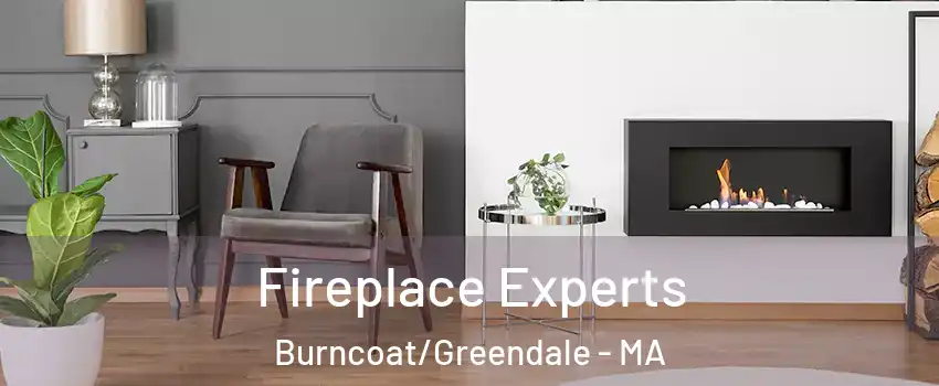 Fireplace Experts Burncoat/Greendale - MA