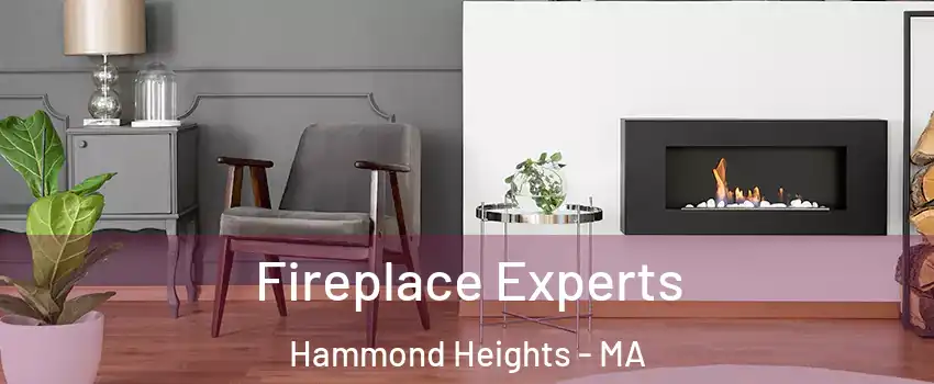 Fireplace Experts Hammond Heights - MA