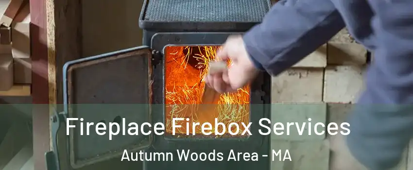 Fireplace Firebox Services Autumn Woods Area - MA