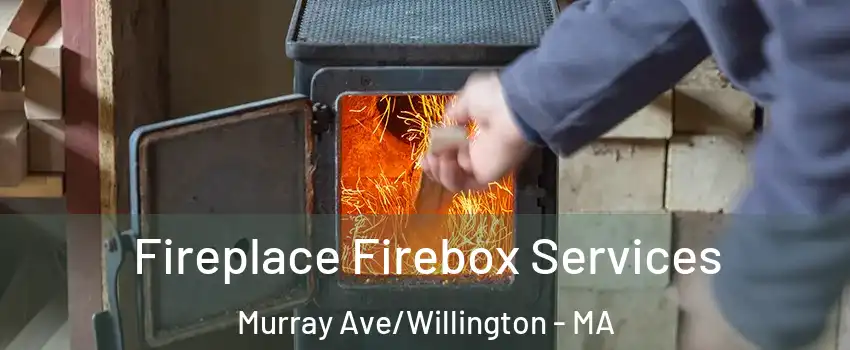 Fireplace Firebox Services Murray Ave/Willington - MA