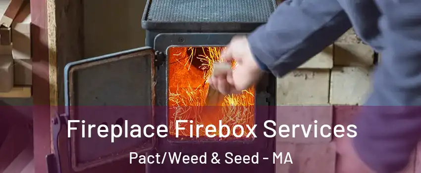 Fireplace Firebox Services Pact/Weed & Seed - MA