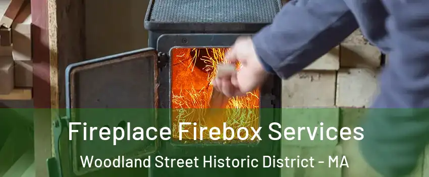 Fireplace Firebox Services Woodland Street Historic District - MA