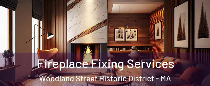 Fireplace Fixing Services Woodland Street Historic District - MA