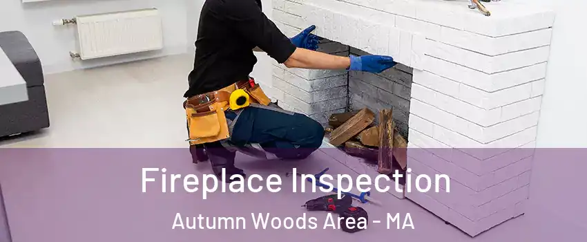 Fireplace Inspection Autumn Woods Area - MA