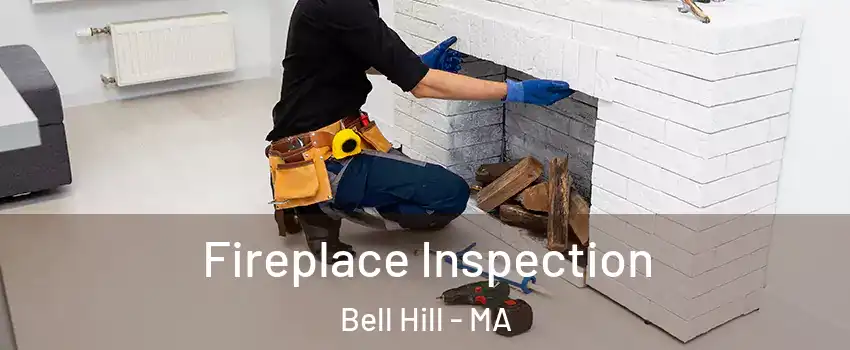 Fireplace Inspection Bell Hill - MA