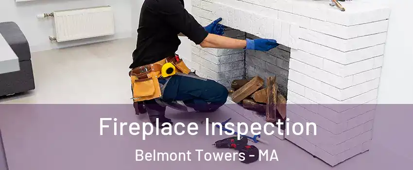 Fireplace Inspection Belmont Towers - MA