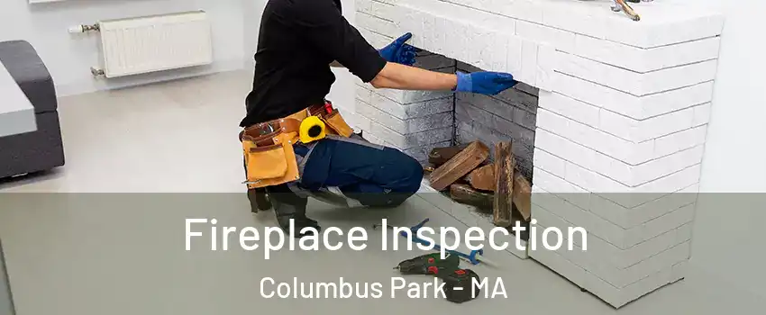 Fireplace Inspection Columbus Park - MA