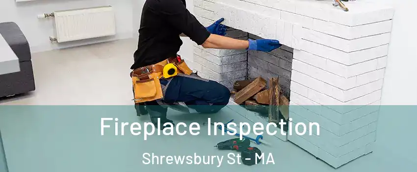 Fireplace Inspection Shrewsbury St - MA