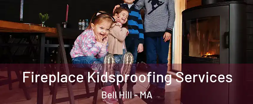 Fireplace Kidsproofing Services Bell Hill - MA