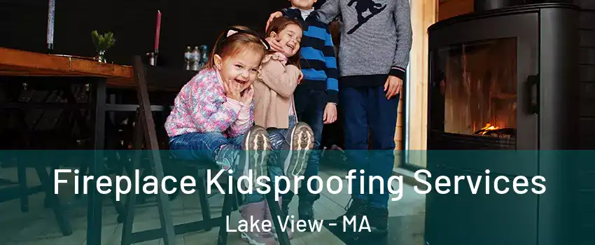 Fireplace Kidsproofing Services Lake View - MA