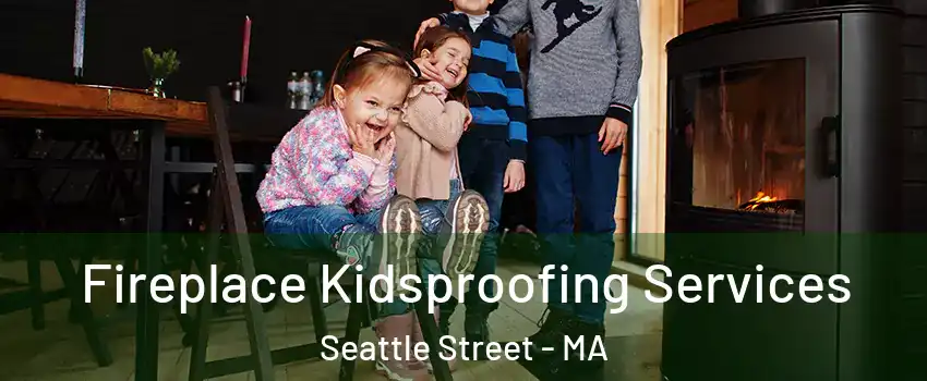 Fireplace Kidsproofing Services Seattle Street - MA