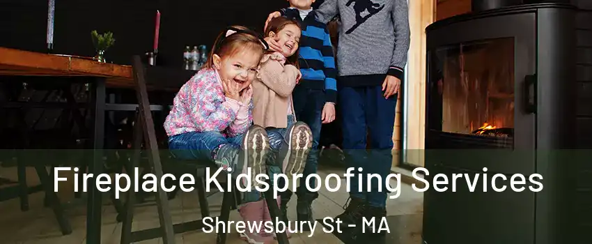 Fireplace Kidsproofing Services Shrewsbury St - MA