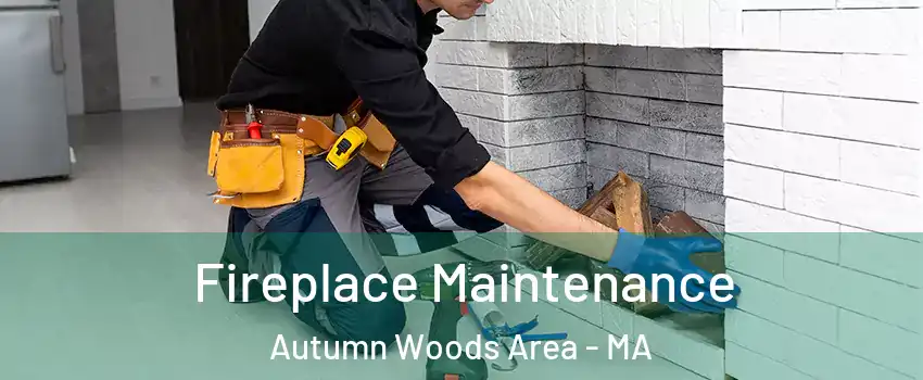 Fireplace Maintenance Autumn Woods Area - MA