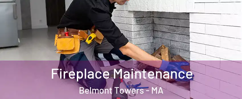 Fireplace Maintenance Belmont Towers - MA