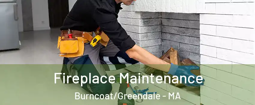 Fireplace Maintenance Burncoat/Greendale - MA