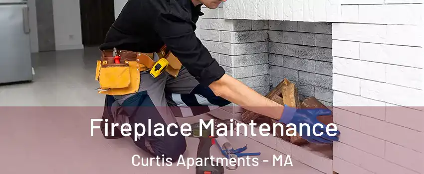 Fireplace Maintenance Curtis Apartments - MA